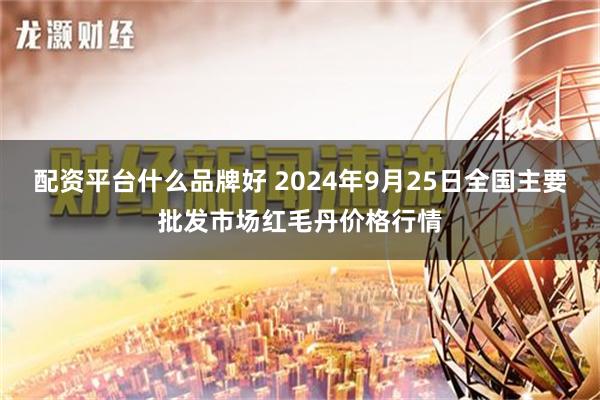 配资平台什么品牌好 2024年9月25日全国主要批发市场红毛