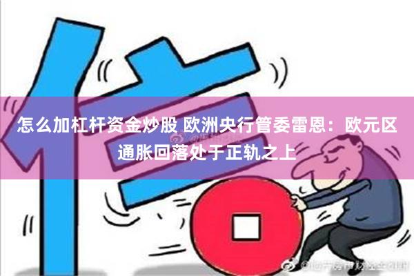 怎么加杠杆资金炒股 欧洲央行管委雷恩：欧元区通胀回落处于正轨