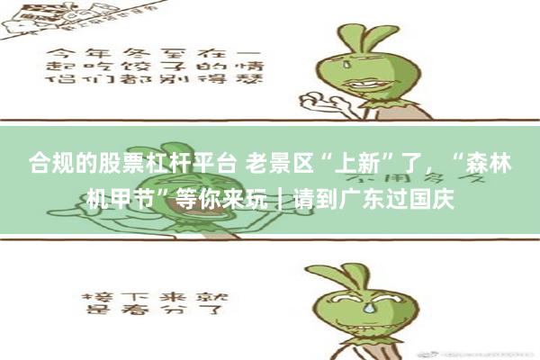 合规的股票杠杆平台 老景区“上新”了，“森林机甲节”等你来玩