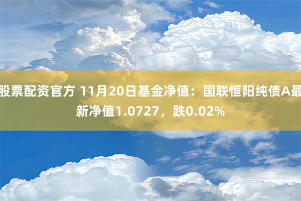 股票配资官方 11月20日基金净值：国联恒阳纯债A最新净值1