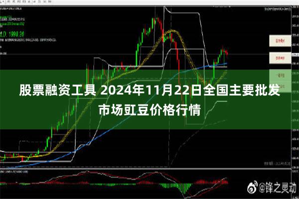 股票融资工具 2024年11月22日全国主要批发市场豇豆价格