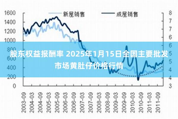 股东权益报酬率 2025年1月15日全国主要批发市场黄肚仔价